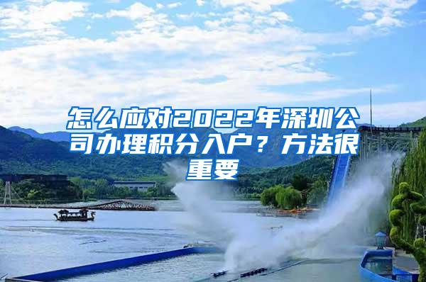 怎么应对2022年深圳公司办理积分入户？方法很重要