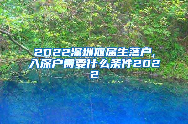 2022深圳应届生落户,入深户需要什么条件2022