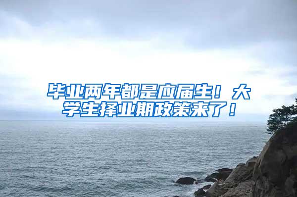 毕业两年都是应届生！大学生择业期政策来了！
