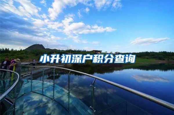 小升初深户积分查询