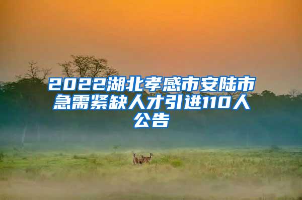 2022湖北孝感市安陆市急需紧缺人才引进110人公告