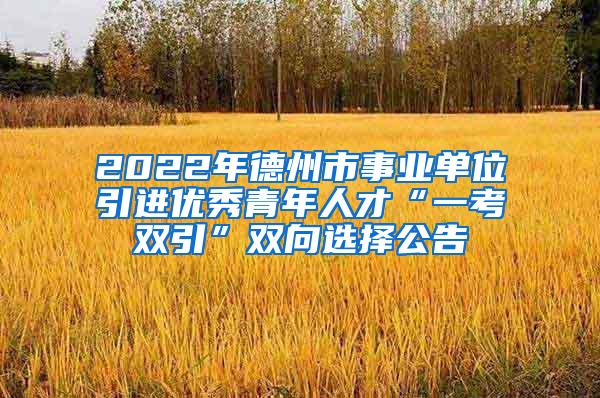 2022年德州市事业单位引进优秀青年人才“一考双引”双向选择公告