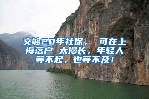 交够20年社保， 可在上海落户 太漫长，年轻人等不起，也等不及！