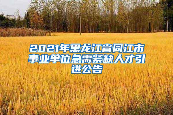 2021年黑龙江省同江市事业单位急需紧缺人才引进公告