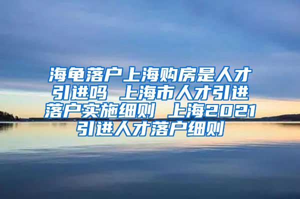海龟落户上海购房是人才引进吗 上海市人才引进落户实施细则 上海2021引进人才落户细则