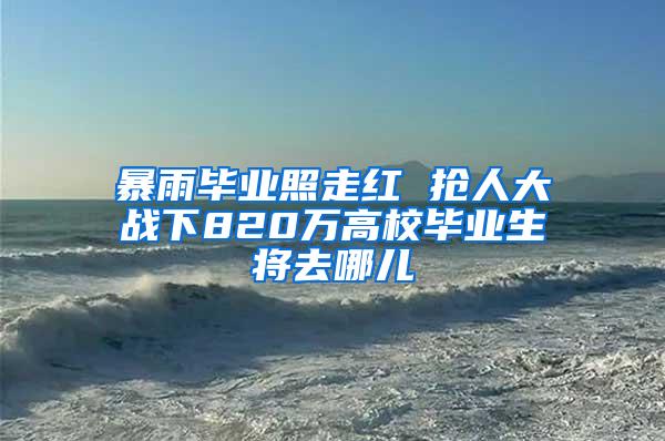 暴雨毕业照走红 抢人大战下820万高校毕业生将去哪儿