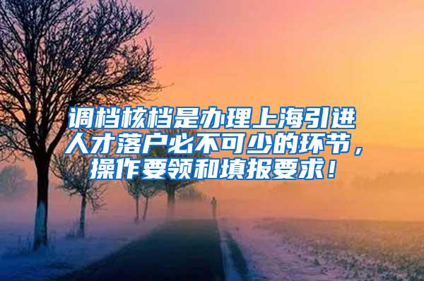 调档核档是办理上海引进人才落户必不可少的环节，操作要领和填报要求！