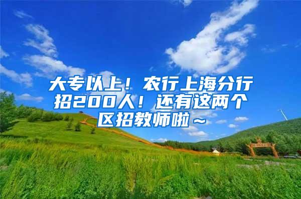 大专以上！农行上海分行招200人！还有这两个区招教师啦～