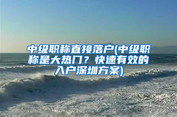 中级职称直接落户(中级职称是大热门？快速有效的入户深圳方案)