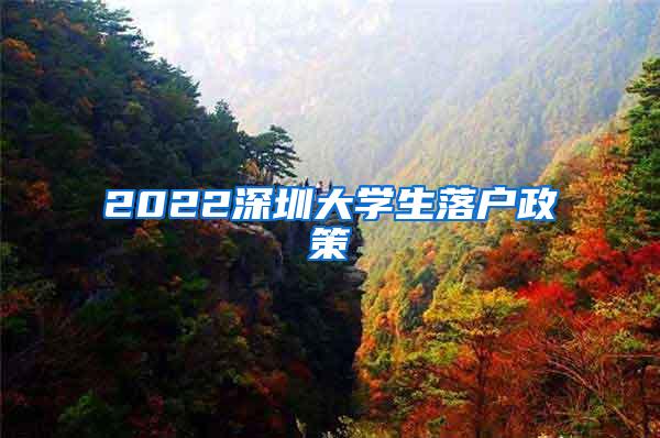 2022深圳大学生落户政策