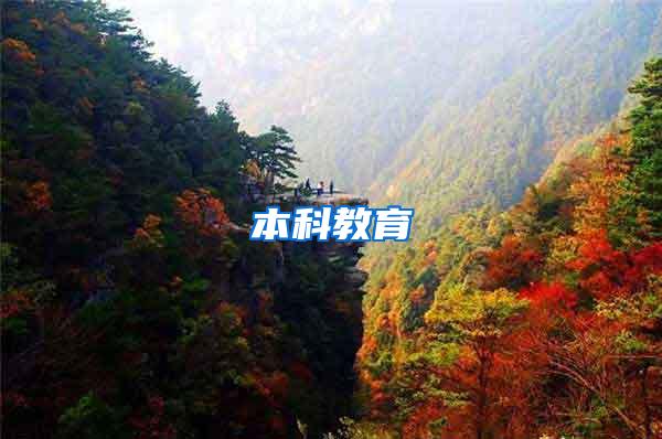 本科教育