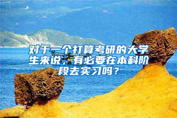 对于一个打算考研的大学生来说，有必要在本科阶段去实习吗？