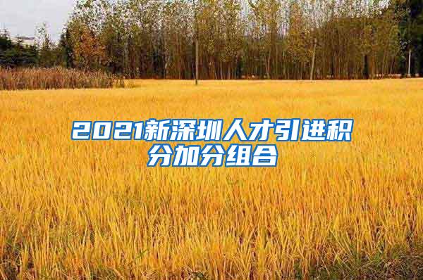 2021新深圳人才引进积分加分组合