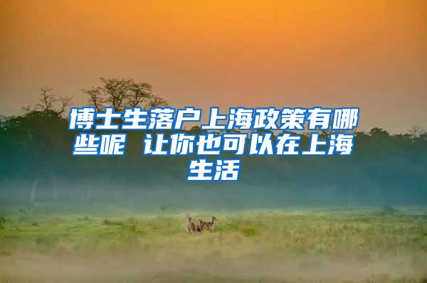 博士生落户上海政策有哪些呢 让你也可以在上海生活