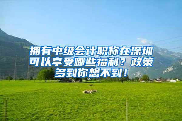 拥有中级会计职称在深圳可以享受哪些福利？政策多到你想不到！