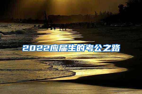 2022应届生的考公之路