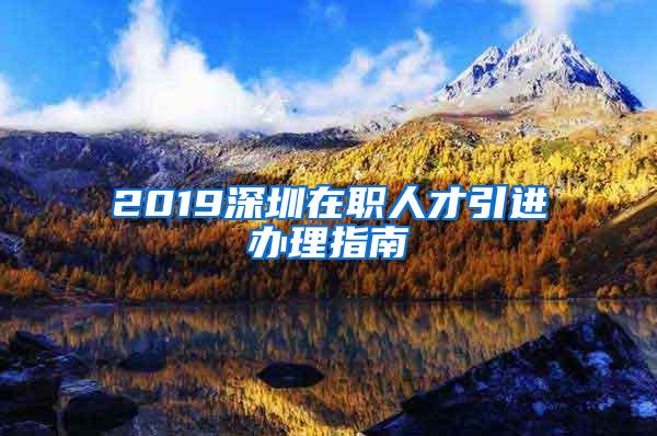 2019深圳在职人才引进办理指南