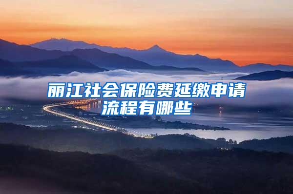 丽江社会保险费延缴申请流程有哪些