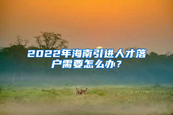 2022年海南引进人才落户需要怎么办？