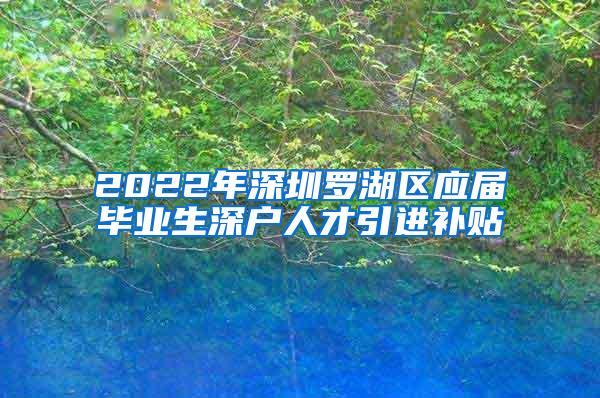 2022年深圳罗湖区应届毕业生深户人才引进补贴