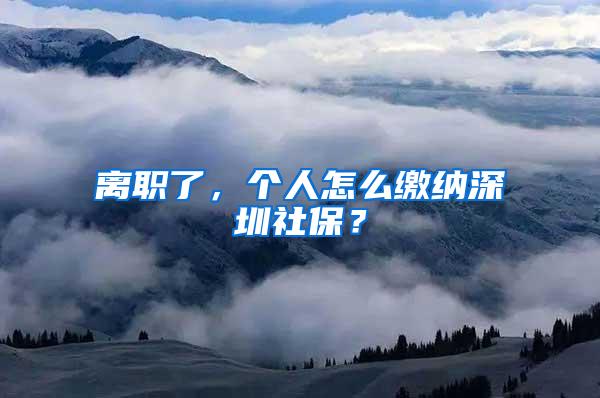 离职了，个人怎么缴纳深圳社保？