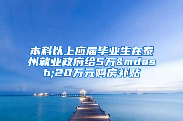 本科以上应届毕业生在泰州就业政府给5万—20万元购房补贴