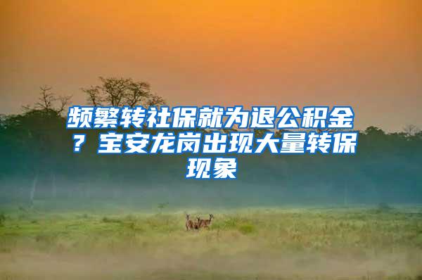 频繁转社保就为退公积金？宝安龙岗出现大量转保现象
