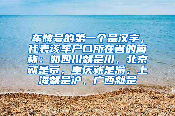 车牌号的第一个是汉字，代表该车户口所在省的简称：如四川就是川，北京就是京，重庆就是渝，上海就是沪，广西就是