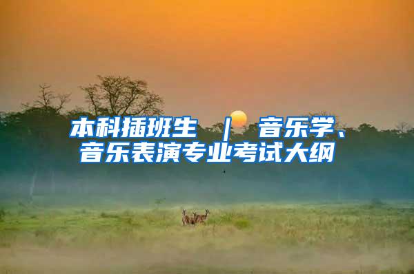 本科插班生 ｜ 音乐学、音乐表演专业考试大纲