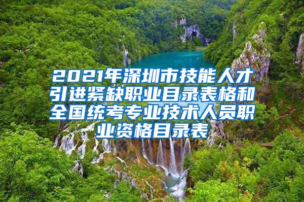 2021年深圳市技能人才引进紧缺职业目录表格和全国统考专业技术人员职业资格目录表