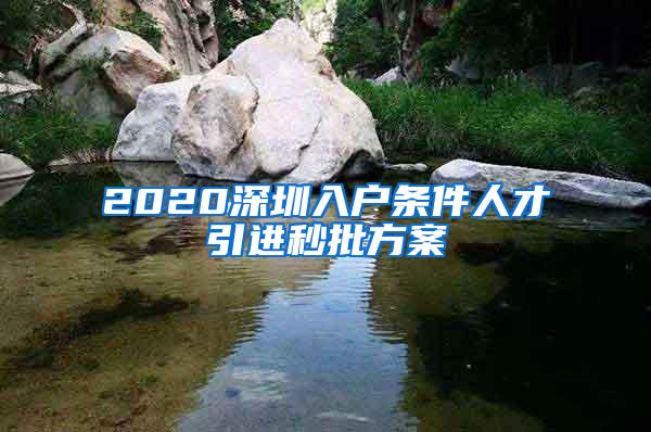 2020深圳入户条件人才引进秒批方案