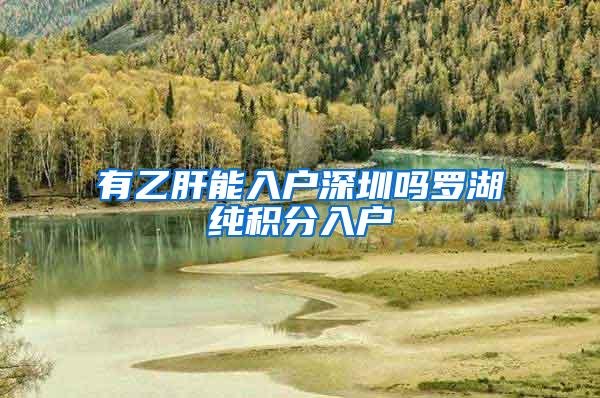 有乙肝能入户深圳吗罗湖纯积分入户