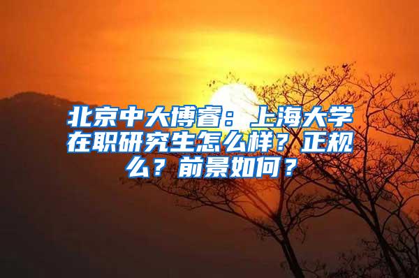 北京中大博睿：上海大学在职研究生怎么样？正规么？前景如何？