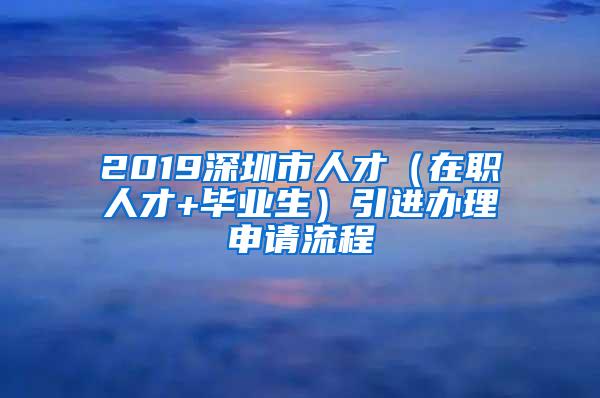 2019深圳市人才（在职人才+毕业生）引进办理申请流程