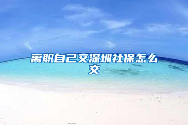 离职自己交深圳社保怎么交