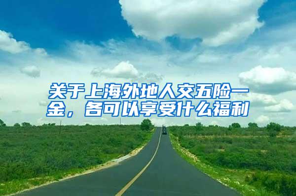 关于上海外地人交五险一金，各可以享受什么福利