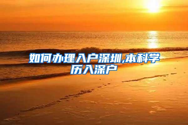如何办理入户深圳,本科学历入深户