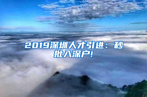 2019深圳人才引进：秒批入深户!