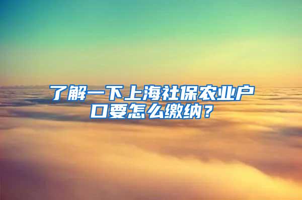 了解一下上海社保农业户口要怎么缴纳？