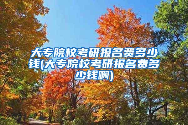 大专院校考研报名费多少钱(大专院校考研报名费多少钱啊)