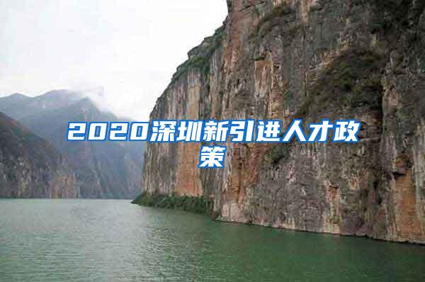 2020深圳新引进人才政策