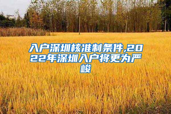 入户深圳核准制条件,2022年深圳入户将更为严峻