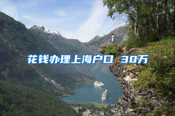 花钱办理上海户口 30万