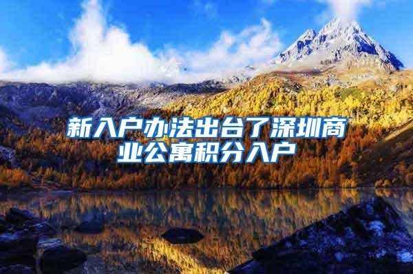新入户办法出台了深圳商业公寓积分入户
