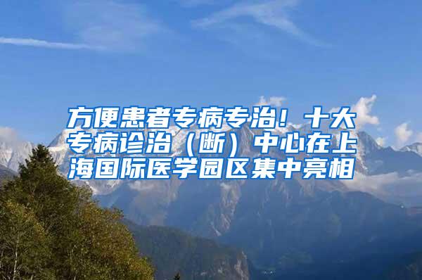 方便患者专病专治！十大专病诊治（断）中心在上海国际医学园区集中亮相