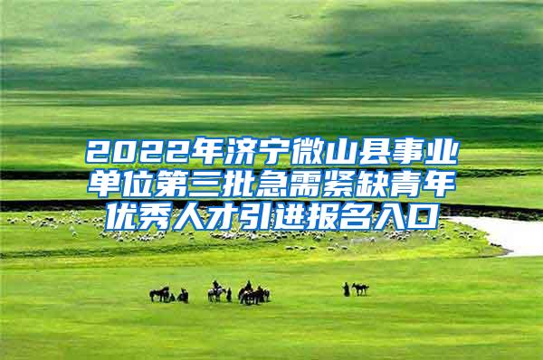 2022年济宁微山县事业单位第三批急需紧缺青年优秀人才引进报名入口