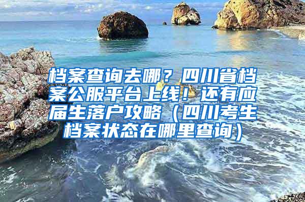 档案查询去哪？四川省档案公服平台上线！还有应届生落户攻略（四川考生档案状态在哪里查询）