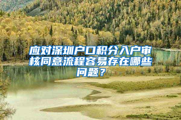 应对深圳户口积分入户审核同意流程容易存在哪些问题？