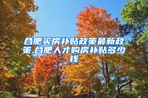 合肥买房补贴政策最新政策,合肥人才购房补贴多少钱