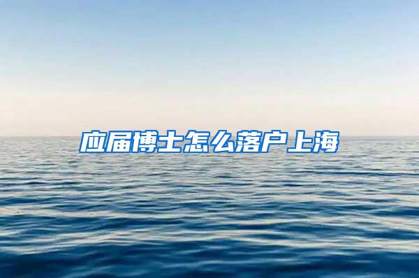 应届博士怎么落户上海